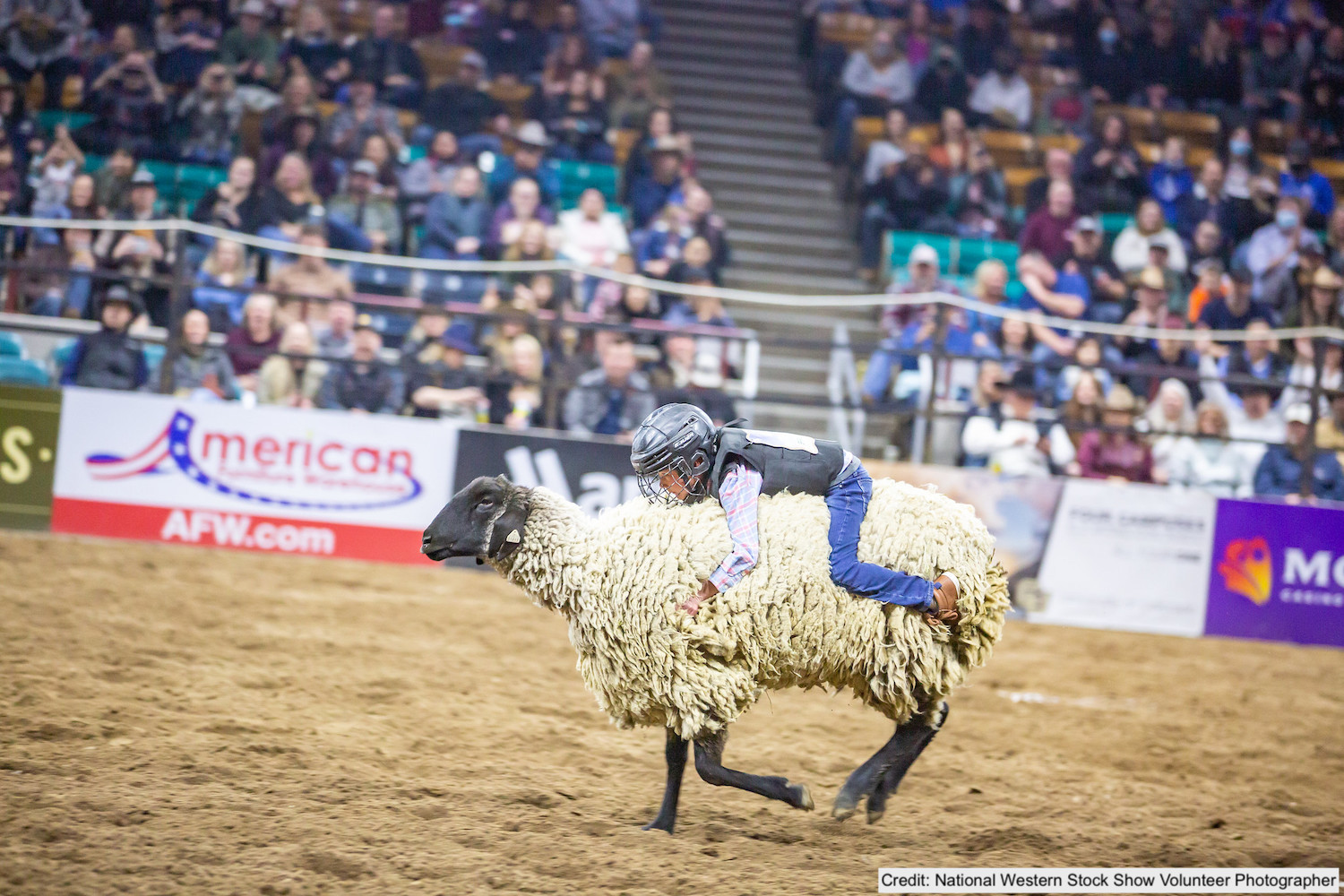 Credit: National Western Stock Show Volunteer Photographer